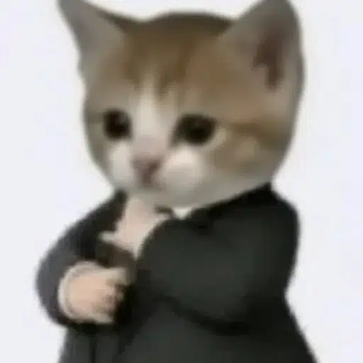$BIZ CAT the suited cat of Solana Street